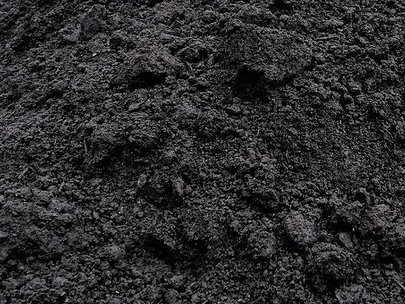 chernozem_800x600_2
